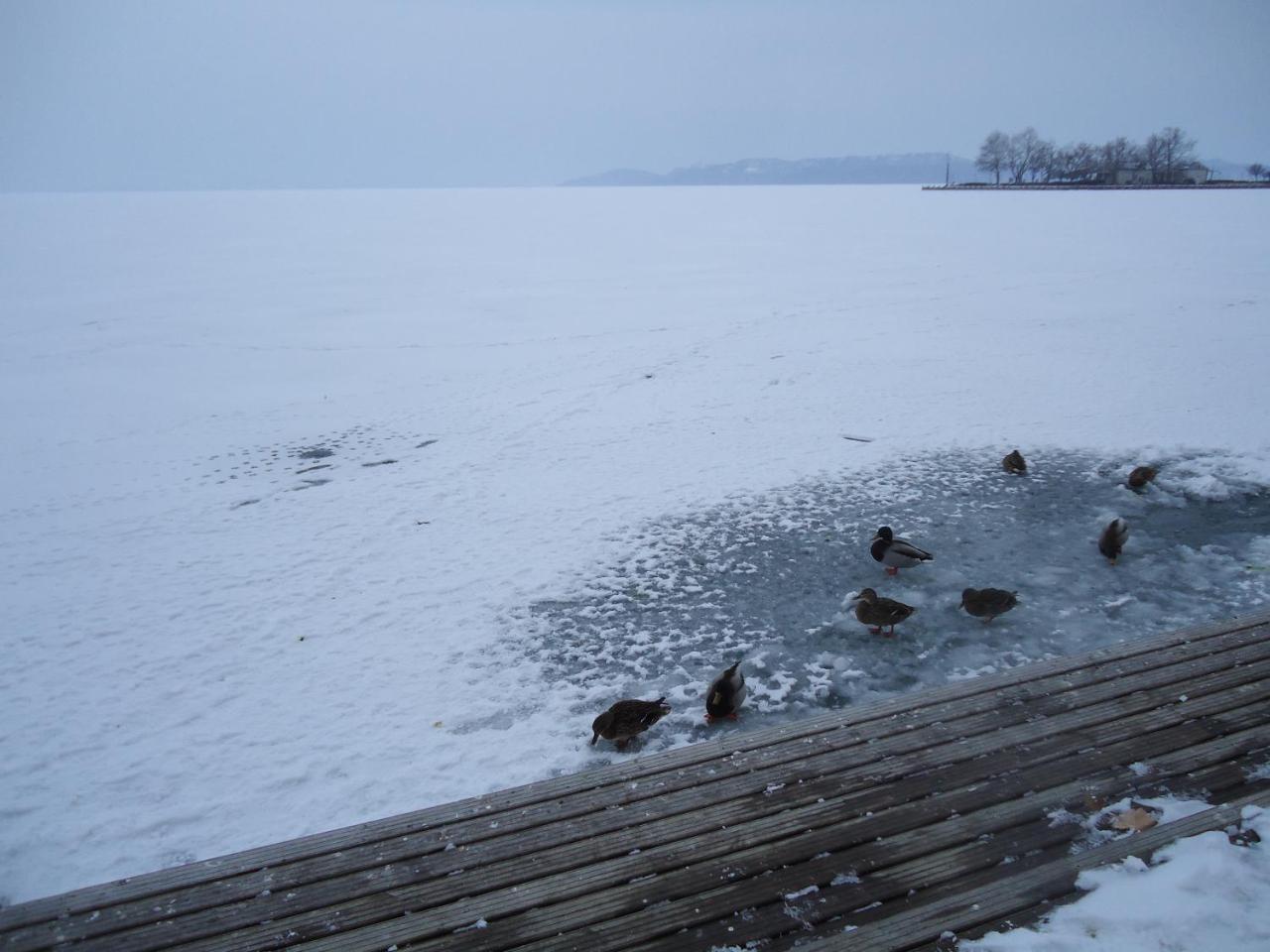 Kek Laguna Vendeghaz Balatonfüred Exteriör bild